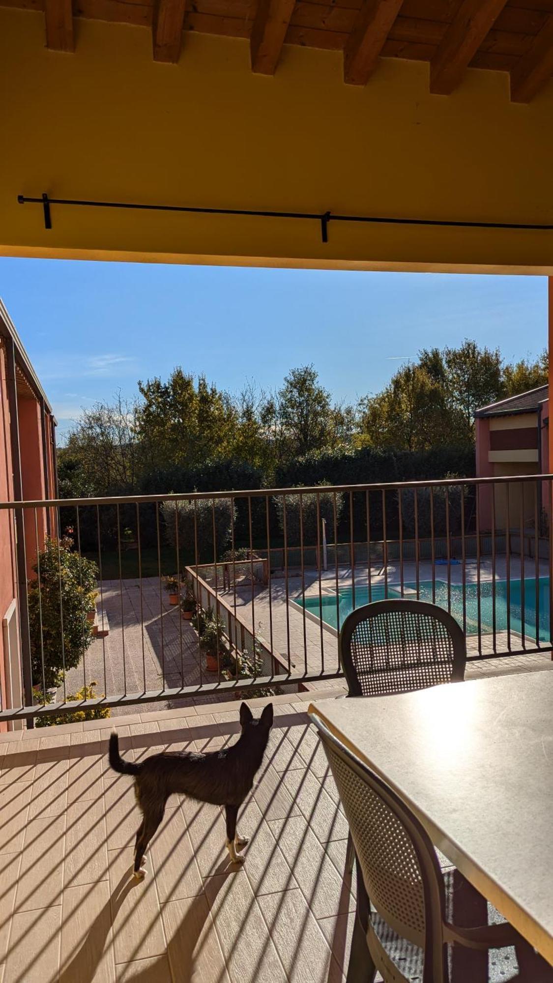 Agriturismo Ai Tre Fienili Ponti sul Mincio Εξωτερικό φωτογραφία